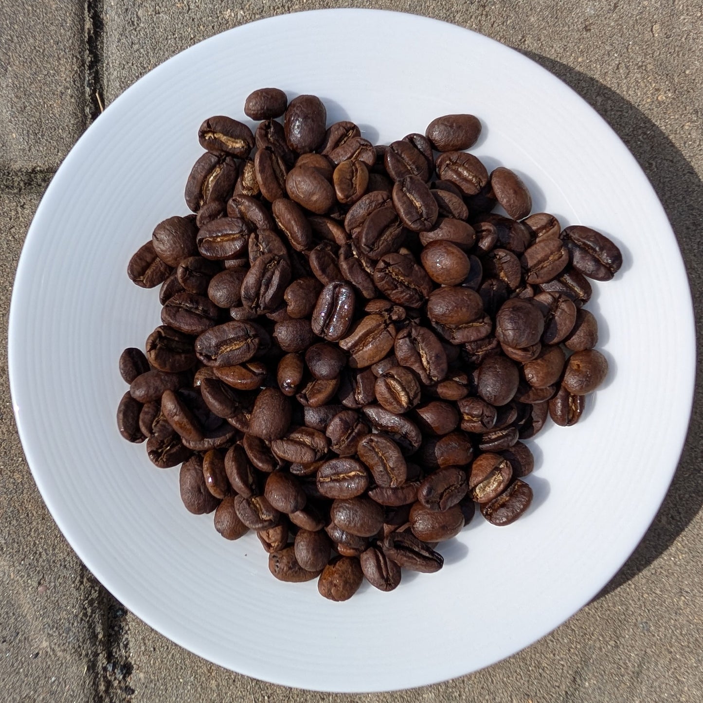 Bali Blue Moon Single Origin Coffee Brewtay Coffee