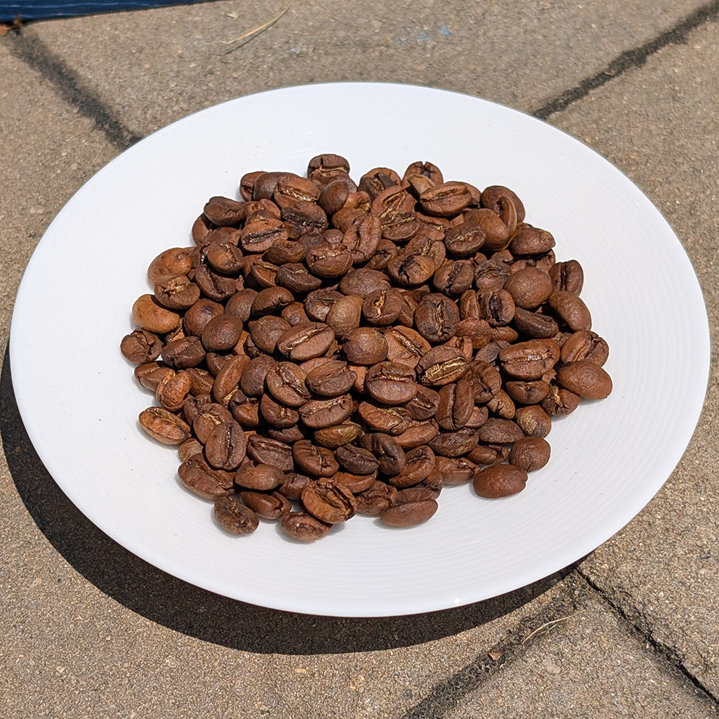 Brazil Santos Single Origin Coffee Brewtay Coffee