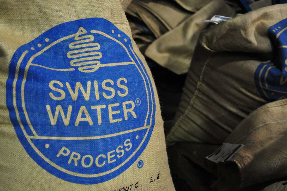 The-Magic-of-Chemical-Free-Decaf-Understanding-the-Swiss-Water-Process Brewtay Coffee