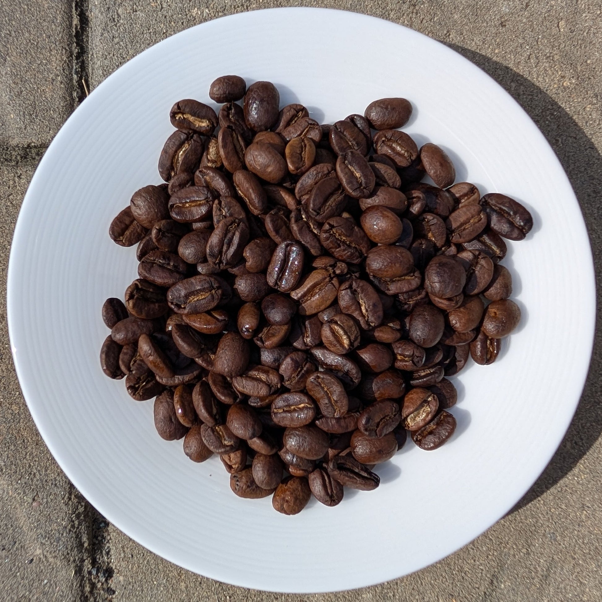 Bali Blue Moon Single Origin Coffee Brewtay Coffee